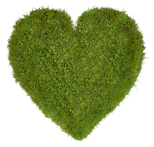 photo of a heart-shaped clump of moss